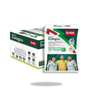 caja ecologico scribe monterrey